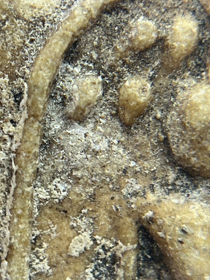 พระสมเด็จวัดระฆังพิมพ์ปรกโพธิ์อดครุฑ(069) รูปที่ 7