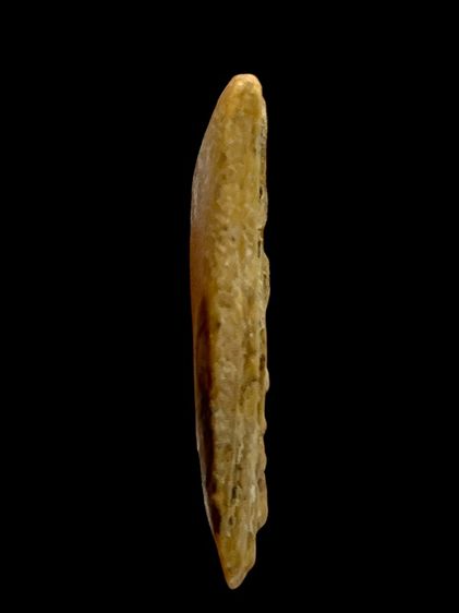 พระสมเด็จวัดระฆังพิมพ์ปรกโพธิ์อดครุฑ(069) รูปที่ 3