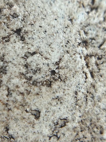 พระหลวงปู่ทวดพิมพ์สี่เหลี่ยมโรยพระธาตุเนื้อสีขาวสมเด็จ (010) รูปที่ 12