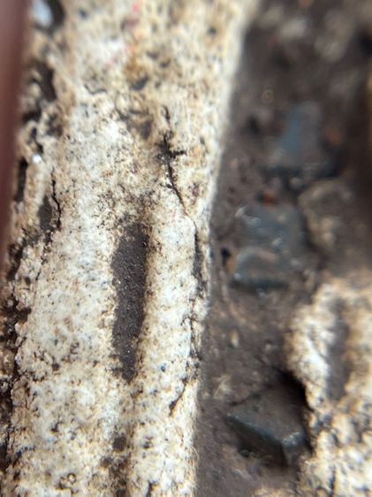 พระหลวงปู่ทวดพิมพ์สี่เหลี่ยมโรยพระธาตุเนื้อสีขาวสมเด็จ (010) รูปที่ 10