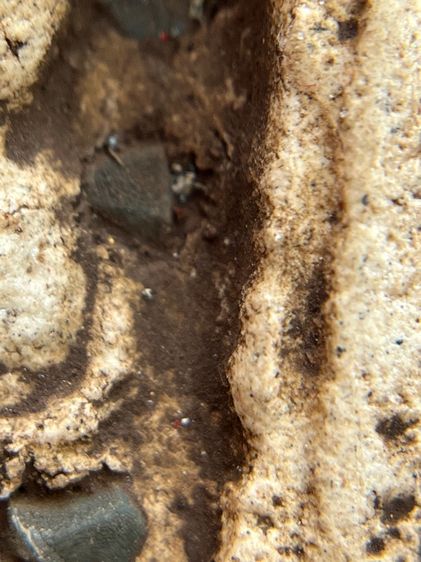 พระหลวงปู่ทวดพิมพ์สี่เหลี่ยมโรยพระธาตุเนื้อสีขาวสมเด็จ (010) รูปที่ 8