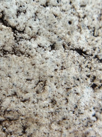 พระหลวงปู่ทวดพิมพ์สี่เหลี่ยมโรยพระธาตุเนื้อสีขาวสมเด็จ (010) รูปที่ 17