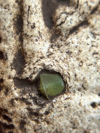 พระหลวงปู่ทวดพิมพ์สี่เหลี่ยมโรยพระธาตุเนื้อสีขาวสมเด็จ (010) รูปที่ 5