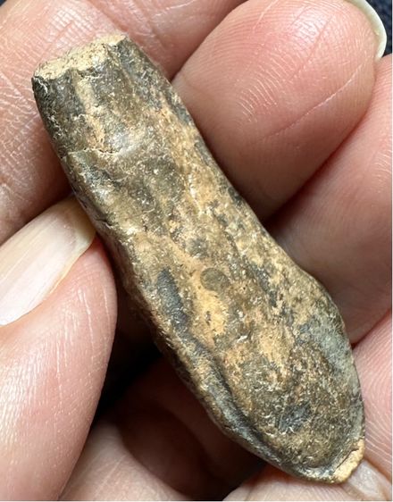 🙏พระสมเด็จพิมพ์ฐานแซม เนื้อจัด มีมวลสาร🙏พระกำแพงลีลากลีบจำปา องค์ละ1550 รูปที่ 14