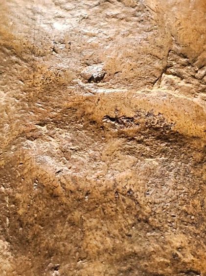 พระรอดกรุวัดมหาวัน รูปที่ 12