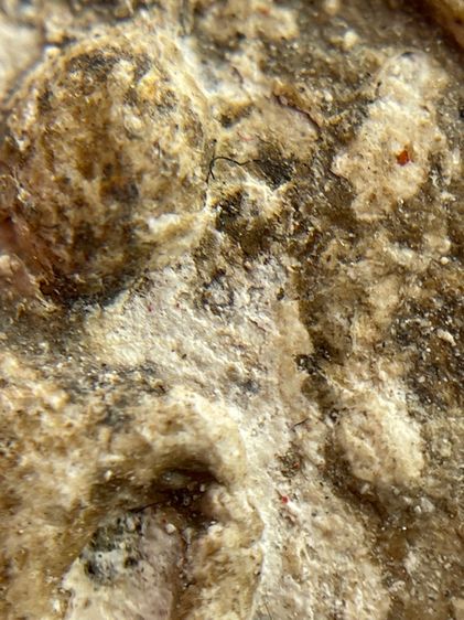 พระสมเด็จบางขุนพรหมพิมพ์ใหญ่ รูปที่ 7