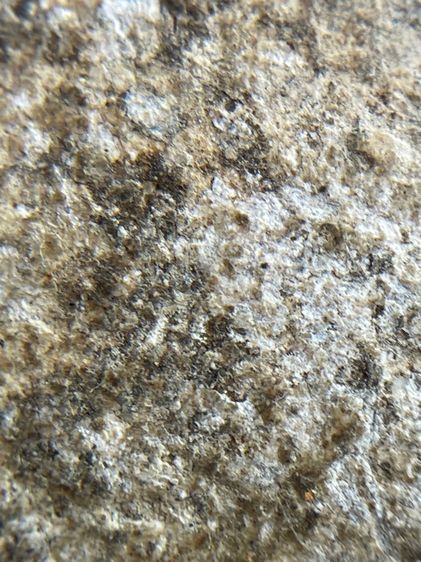 พระสมเด็จบางขุนพรหมพิมพ์ใหญ่ รูปที่ 12