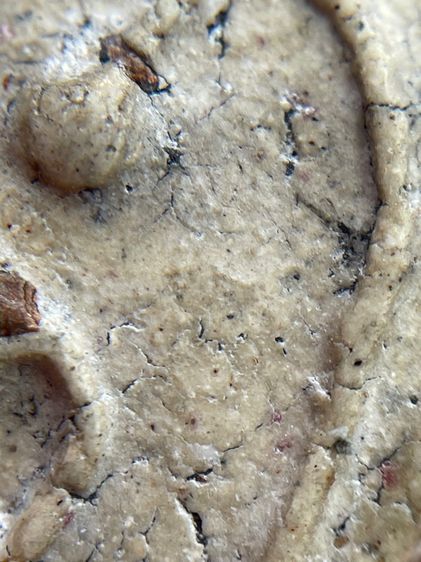 พระสมเด็จวัดระฆังพิมพ์เส้นด้าย รูปที่ 8