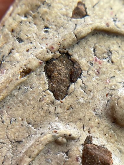 พระสมเด็จวัดระฆังพิมพ์เส้นด้าย รูปที่ 6