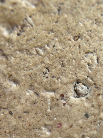 พระสมเด็จวัดระฆังพิมพ์เส้นด้าย รูปที่ 14