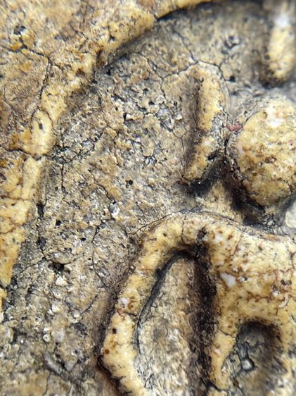 พระสมเด็จพิมพ์เกศไชโยเจ็ดชั้นเนื้อหาเก่าสวยดูคลาสสิกน่าเก็บสะสม รูปที่ 5