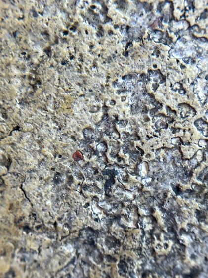 พระสมเด็จพิมพ์เกศไชโยเจ็ดชั้นเนื้อหาเก่าสวยดูคลาสสิกน่าเก็บสะสม รูปที่ 15