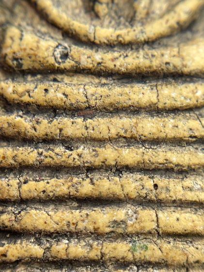 พระสมเด็จพิมพ์เกศไชโยเจ็ดชั้นเนื้อหาเก่าสวยดูคลาสสิกน่าเก็บสะสม รูปที่ 9