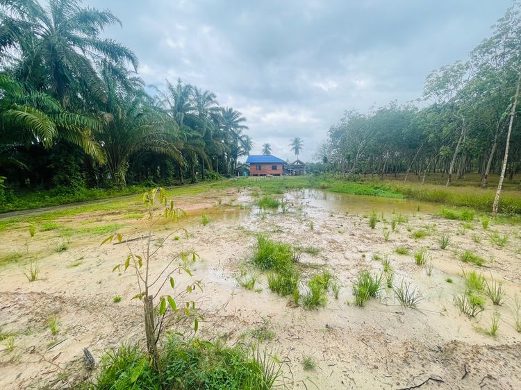 บ้านมือ1พร้อมที่ดิน1ไร่2งานคลองหินอ่าวลึกกระบี่ รูปที่ 2