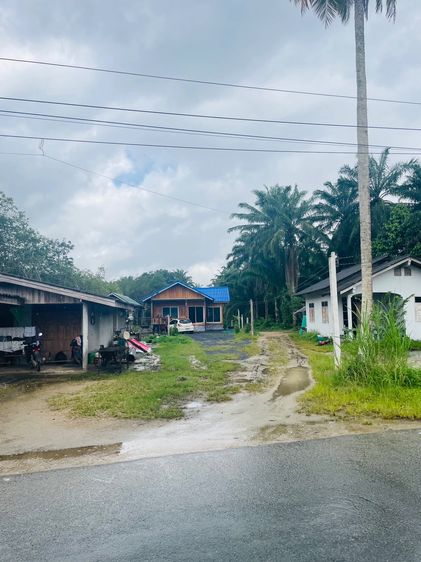 บ้านมือ1พร้อมที่ดิน1ไร่2งานคลองหินอ่าวลึกกระบี่ รูปที่ 3