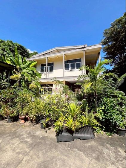 มีบางส่วน ขายบ้านพร้อมที่ดิน ขนาด 196 ตร.ว. ซอยปรีดีพนมยงค์ 37 (สุขุมวิท 71) แขวงพระโขนงเหนือ เขตวัฒนา กรุงเทพฯ