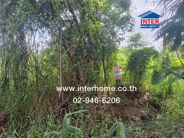 ที่ดินเปล่า 64 ตร.ว. ที่ดิน ซอยบางม่วง-บางคูลัด25 ถนนบางม่วง-บางคูลัด บางใหญ่ นนทบุรี