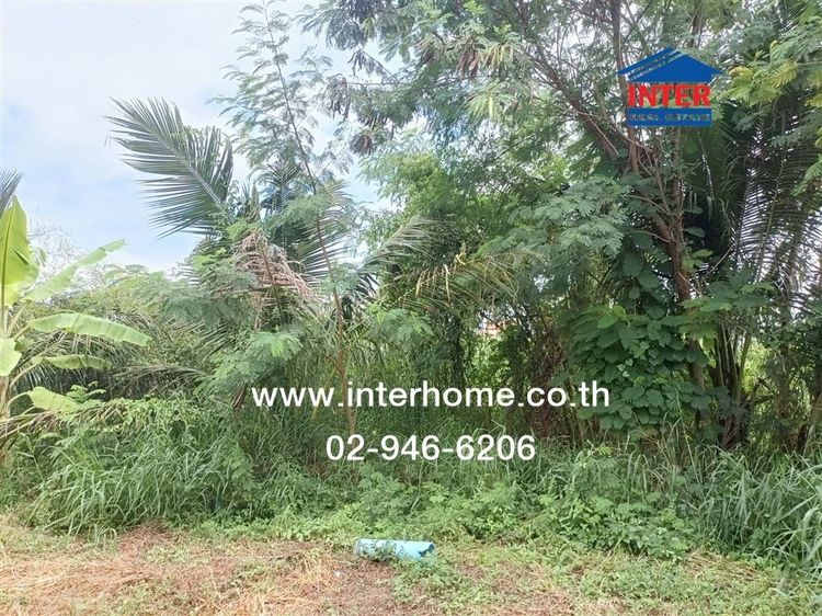 ที่ดินเปล่า 64 ตร.ว. ที่ดิน ซอยบางม่วง-บางคูลัด25 ถนนบางม่วง-บางคูลัด บางใหญ่ นนทบุรี รูปที่ 2