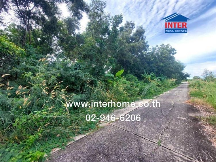 ที่ดินเปล่า 256 ตร.ว. ที่ดิน ตรงข้ามซอยเลียบคลองสิบสามฝั่งตะวันออก38 ถนนเลียบคลองสิบสามฝั่งตะวันตก เขตหนองจอก กรุงเทพมหานคร รูปที่ 3