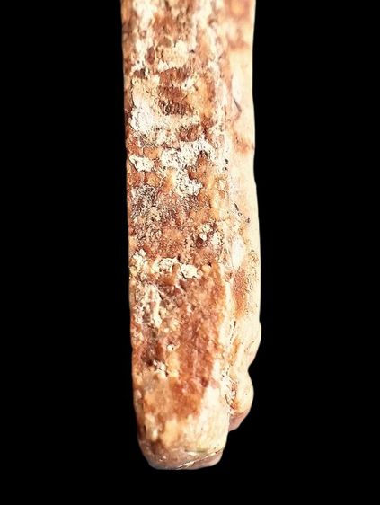 เกศทะลุซุ้ม. รูปที่ 18