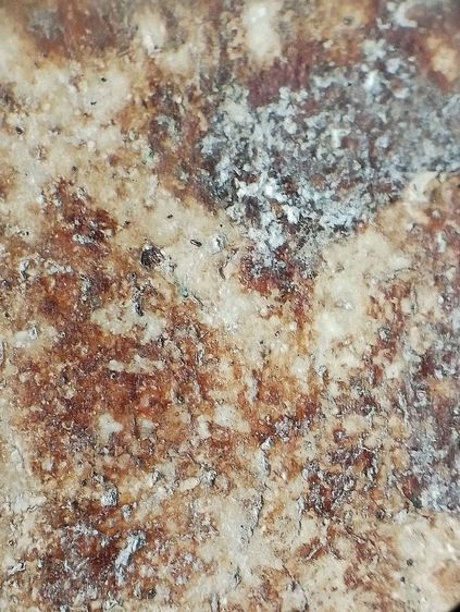 เกศทะลุซุ้ม. รูปที่ 15