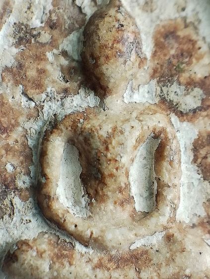 เกศทะลุซุ้ม. รูปที่ 6