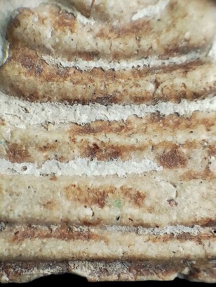 เกศทะลุซุ้ม. รูปที่ 7