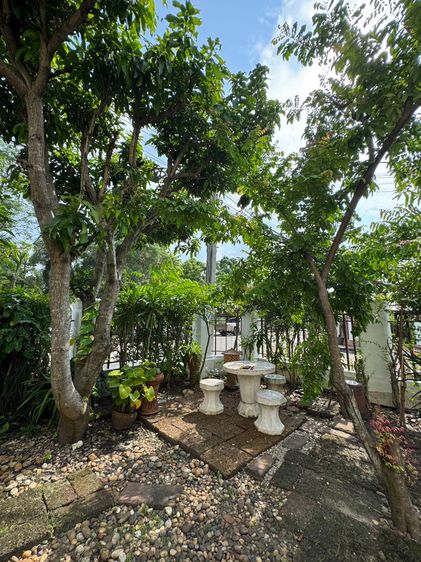 Pruksa ขายด่วนบ้านเดี่ยวในกรุงเทพ ลดราคาลงอีก พื้นที่กว้างมากกว่า 100 ตร.วา (เจ้าของขายเอง ไม่รับ Agency) รูปที่ 4