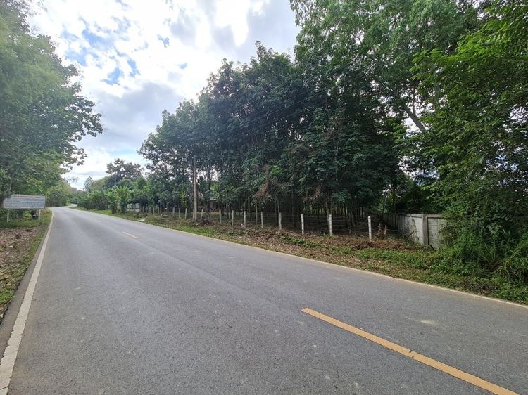 ขายที่ดินสวนยาง 2.40 ไร่ พร้อมโฉนด เหมาะแก่การลงทุน หลังวิทยาลัยการอาชีพปัว ต.ปัว จ.น่าน  รูปที่ 3