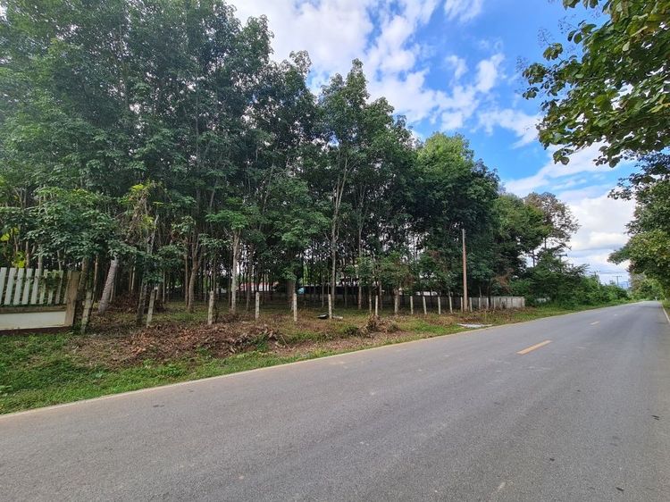 ขายที่ดินสวนยาง 2.40 ไร่ พร้อมโฉนด เหมาะแก่การลงทุน หลังวิทยาลัยการอาชีพปัว ต.ปัว จ.น่าน  รูปที่ 2