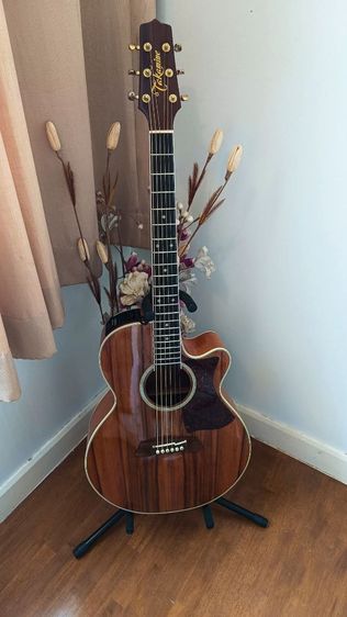 Takamine TDP-100K SP รูปที่ 3