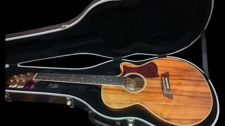 Takamine TDP-100K SP รูปที่ 16