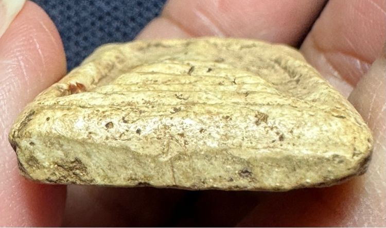 พระสมเด็จพระอาจารย์สุพจน์ วัดสุทัศน์ พิธีอินโดจีน ปี2485 รูปที่ 6