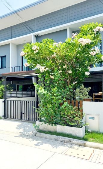 ขายทาวน์เฮ้าส์ เดอะคัลเลอร์ บางนา–วงแหวน 4