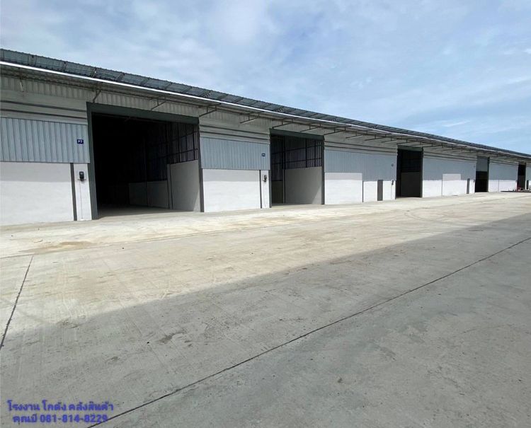 ให้เช่าโรงงาน โกดัง คลังสินค้า ขนาดเริ่มต้น 100 ตร.ม. ถึง 8,000 ตร.ม แถวแคราย คลองมะเดื่อ นาดี บางน้ำจืด สมุทรสาคร  
