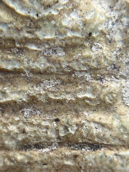 พระสมเด็จพิมพ์ใหญ่กรุบางขุนพรหม(060) รูปที่ 7