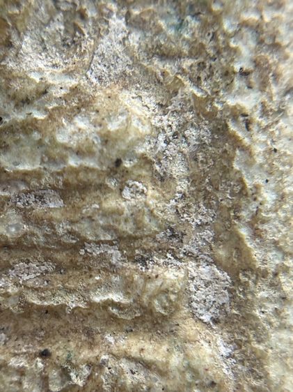 พระสมเด็จพิมพ์ใหญ่กรุบางขุนพรหม(060) รูปที่ 8