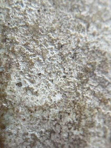 พระสมเด็จพิมพ์ใหญ่กรุบางขุนพรหม(060) รูปที่ 17