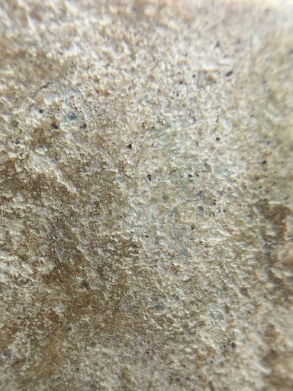 พระสมเด็จพิมพ์ใหญ่กรุบางขุนพรหม(060) รูปที่ 16