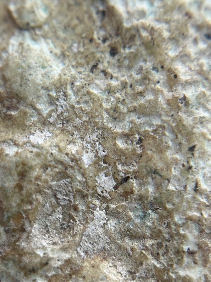 พระสมเด็จพิมพ์ใหญ่กรุบางขุนพรหม(060) รูปที่ 9