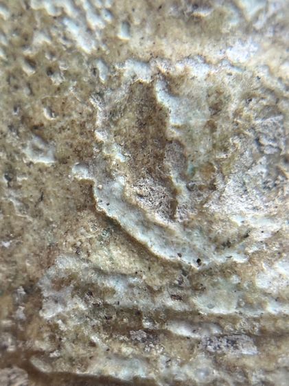 พระสมเด็จพิมพ์ใหญ่กรุบางขุนพรหม(060) รูปที่ 12