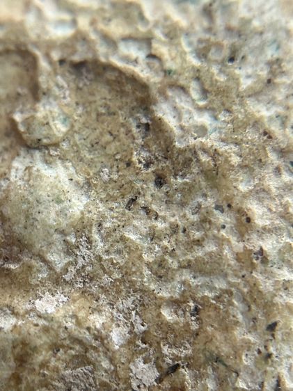 พระสมเด็จพิมพ์ใหญ่กรุบางขุนพรหม(060) รูปที่ 10