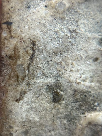 พระสมเด็จวัดระฆังพิมพ์ใหญ่ เนื้อเก่าจัด(092) รูปที่ 8