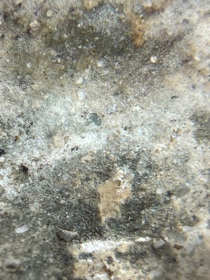 พระสมเด็จวัดระฆังพิมพ์ใหญ่ เนื้อเก่าจัด(092) รูปที่ 13