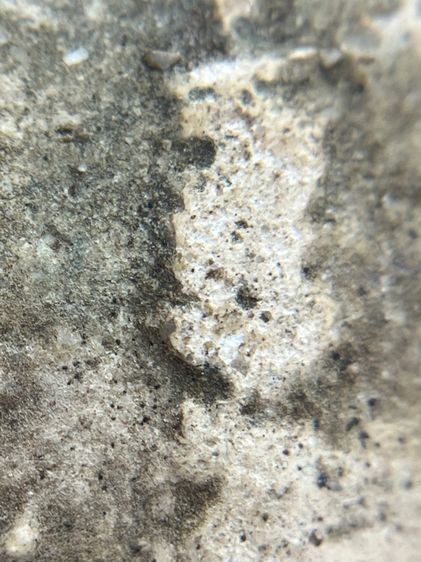 พระสมเด็จวัดระฆังพิมพ์ใหญ่ เนื้อเก่าจัด(092) รูปที่ 9