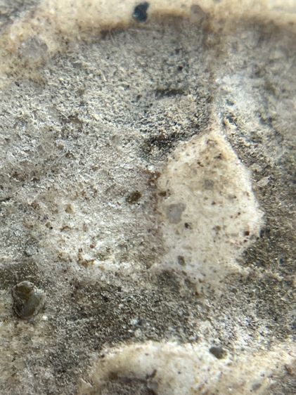 พระสมเด็จวัดระฆังพิมพ์ใหญ่ เนื้อเก่าจัด(092) รูปที่ 7