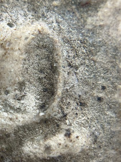 พระสมเด็จวัดระฆังพิมพ์ใหญ่ เนื้อเก่าจัด(092) รูปที่ 17