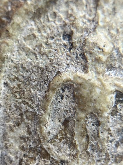 พระสมเด็จเกศชโย 7 ชั้น เนื้อหาเก่าเป็นธรรมชาติ(059) รูปที่ 13