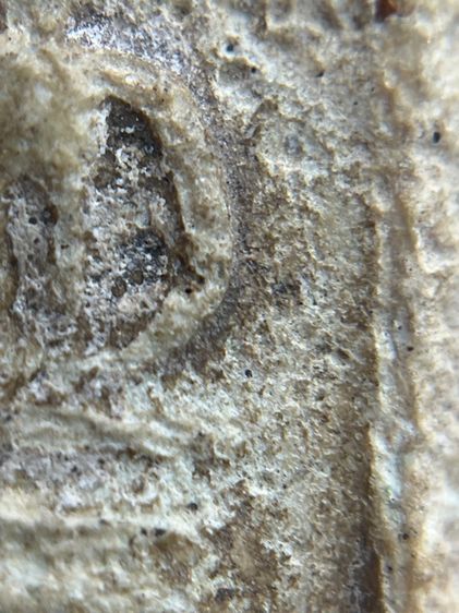 พระสมเด็จเกศชโย 7 ชั้น เนื้อหาเก่าเป็นธรรมชาติ(059) รูปที่ 9