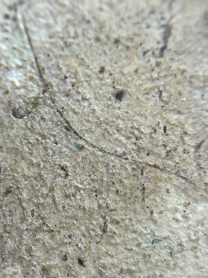 พระสมเด็จเกศชโย 7 ชั้น เนื้อหาเก่าเป็นธรรมชาติ(059) รูปที่ 14